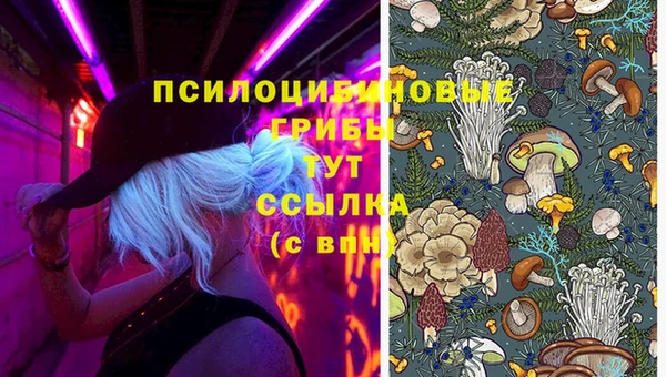 амф Приозерск