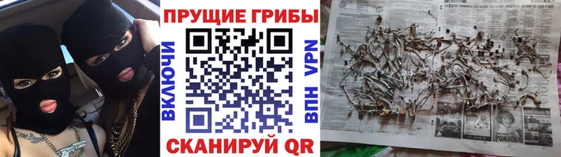 блэк спрут сайт  Тотьма  Псилоцибиновые грибы MAGIC MUSHROOMS 
