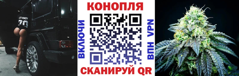 Канабис OG Kush  купить  цена  Тотьма 